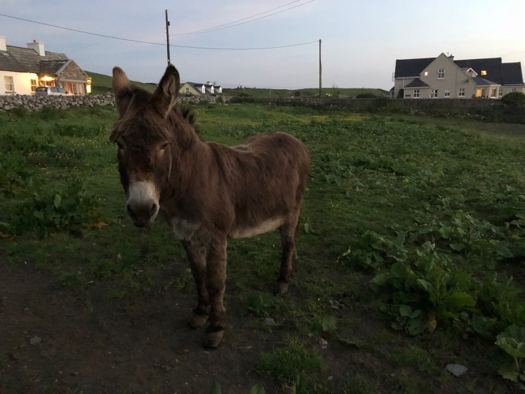 received_10200651233383383